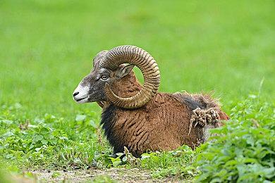 《暗黑破坏神4》开发者版本号更新 或暗示游戏主体已完成