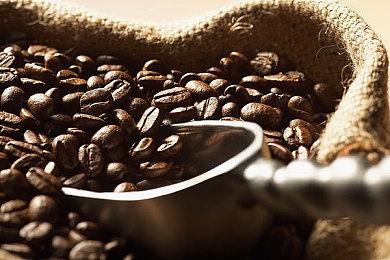 限时福利！Xbox金会员可免费领取《海商王3》